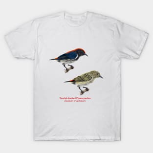 Scarlet-backed Flowerpecker | Dicaeum cruentatum ⚥ T-Shirt